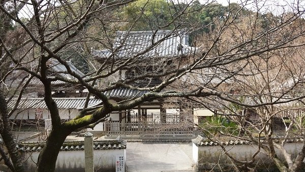 Jorokuji Temple-德岛市必去景点