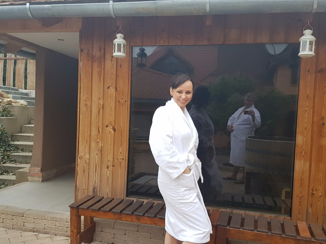 Kavics Spa Klub & Hotel主图