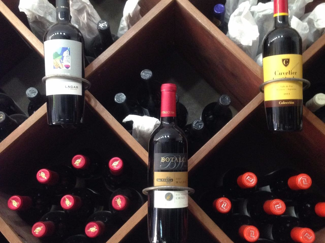 Santiago Wine Club Lastarria景点图片