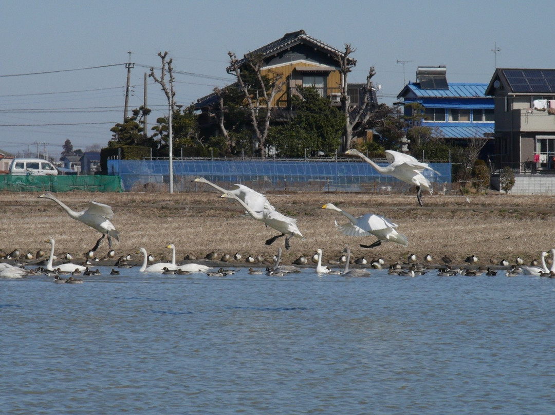 Hakuchonosato-印西市必去景点