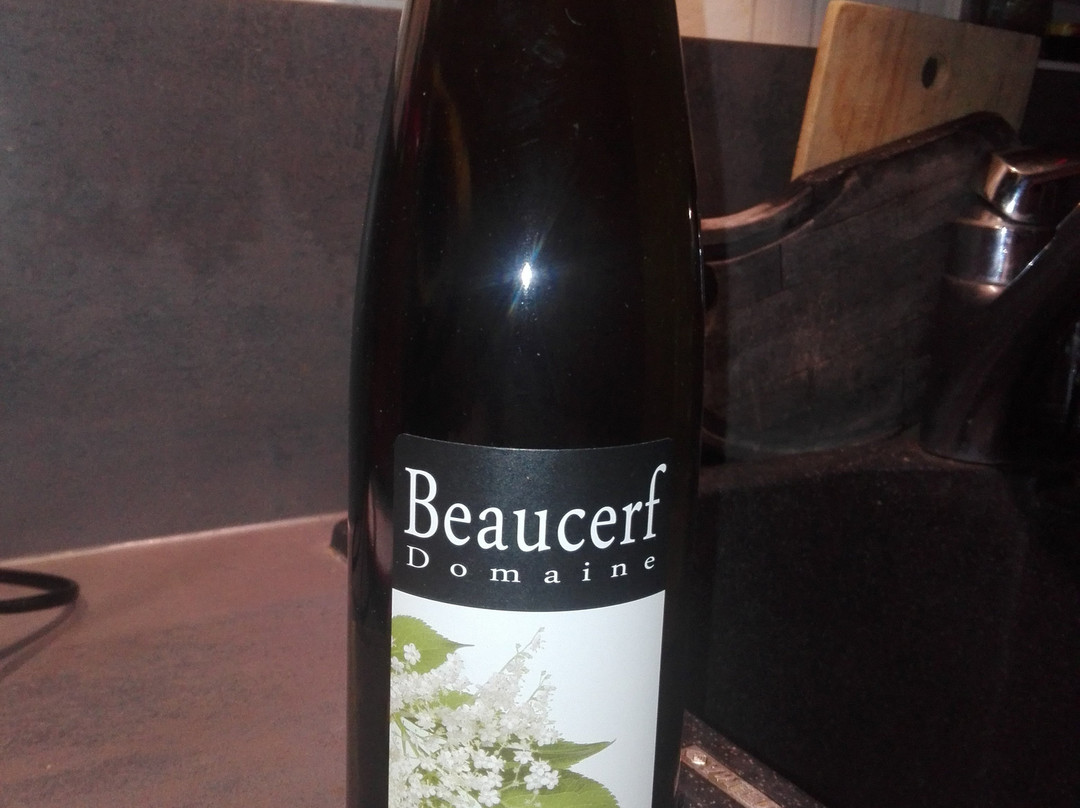 Domaine Beaucerf Ventron景点图片