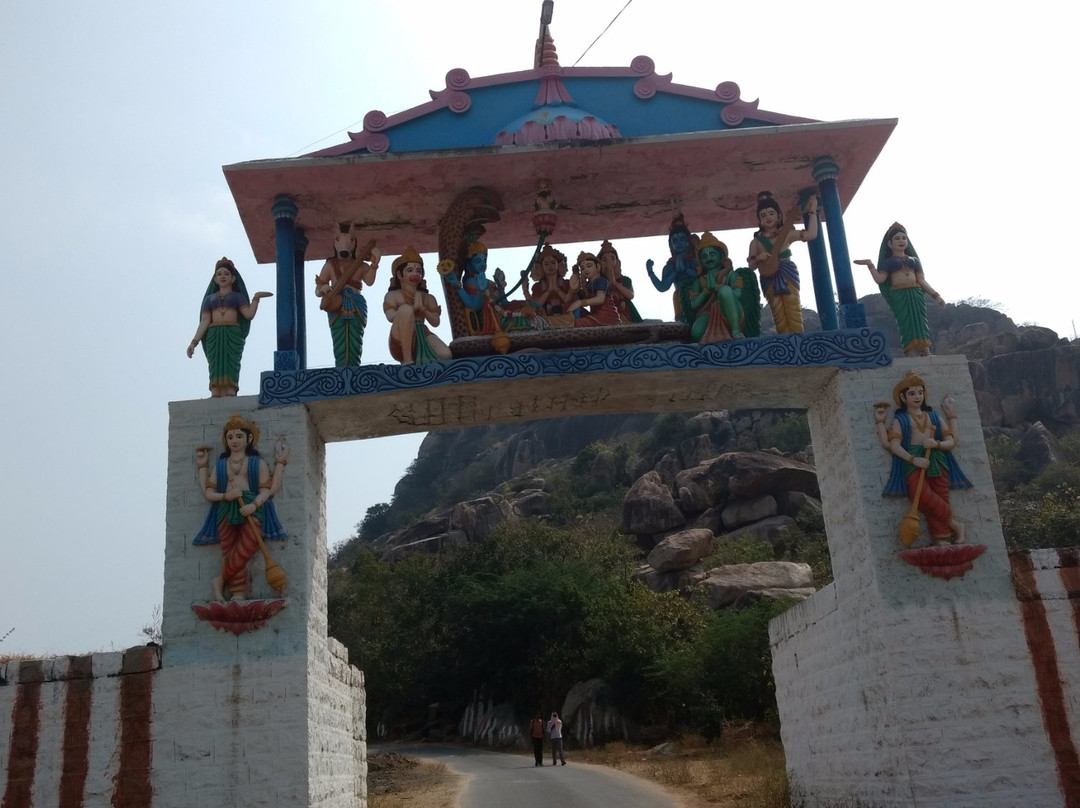 Sri laxmi venkateswara swamy Temple景点图片