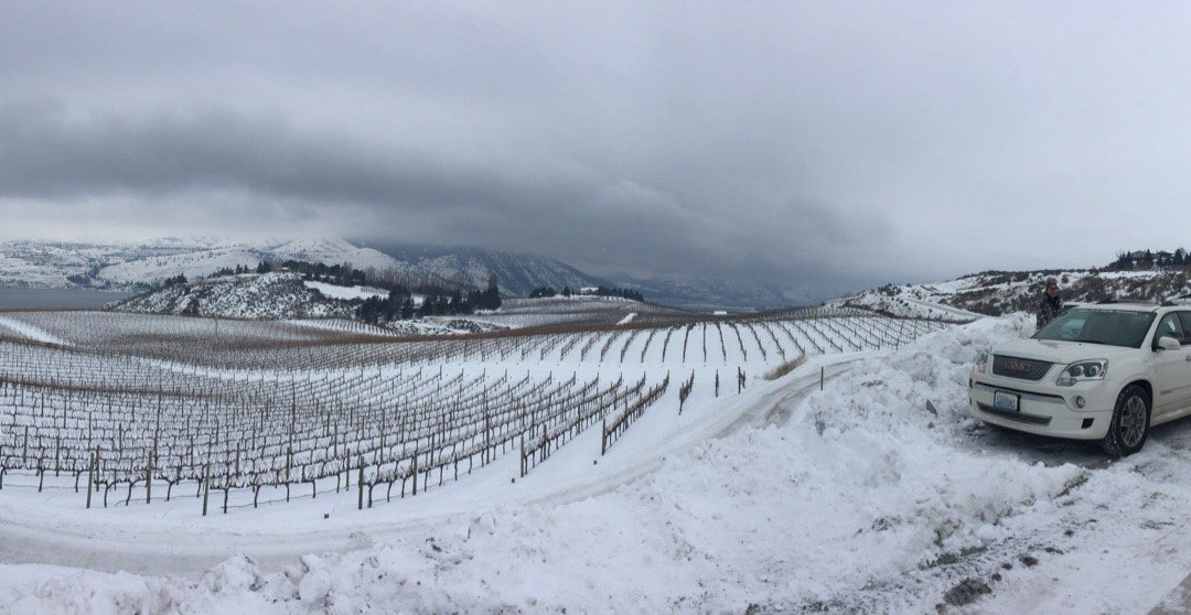 Benson Vineyards Estate Winery-Manson必去景点