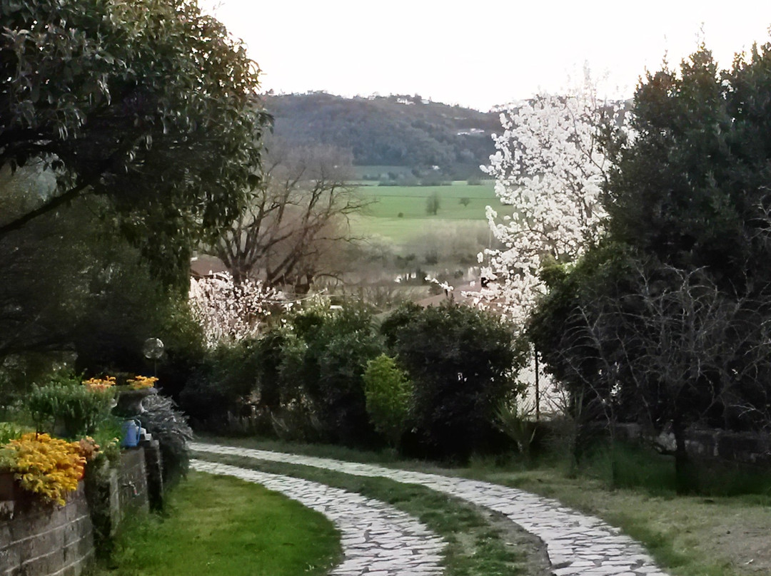 Agriturismo Stella e il Grillo主图