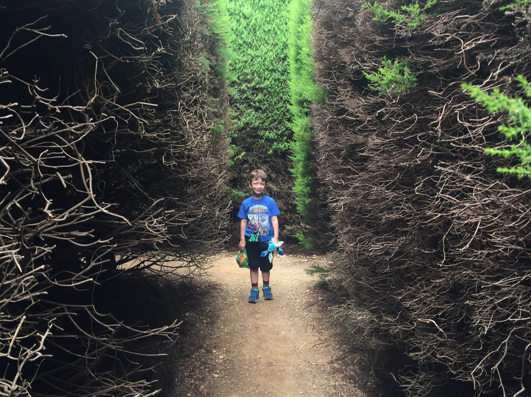 Wandiligong Maze-Wandiligong必去景点