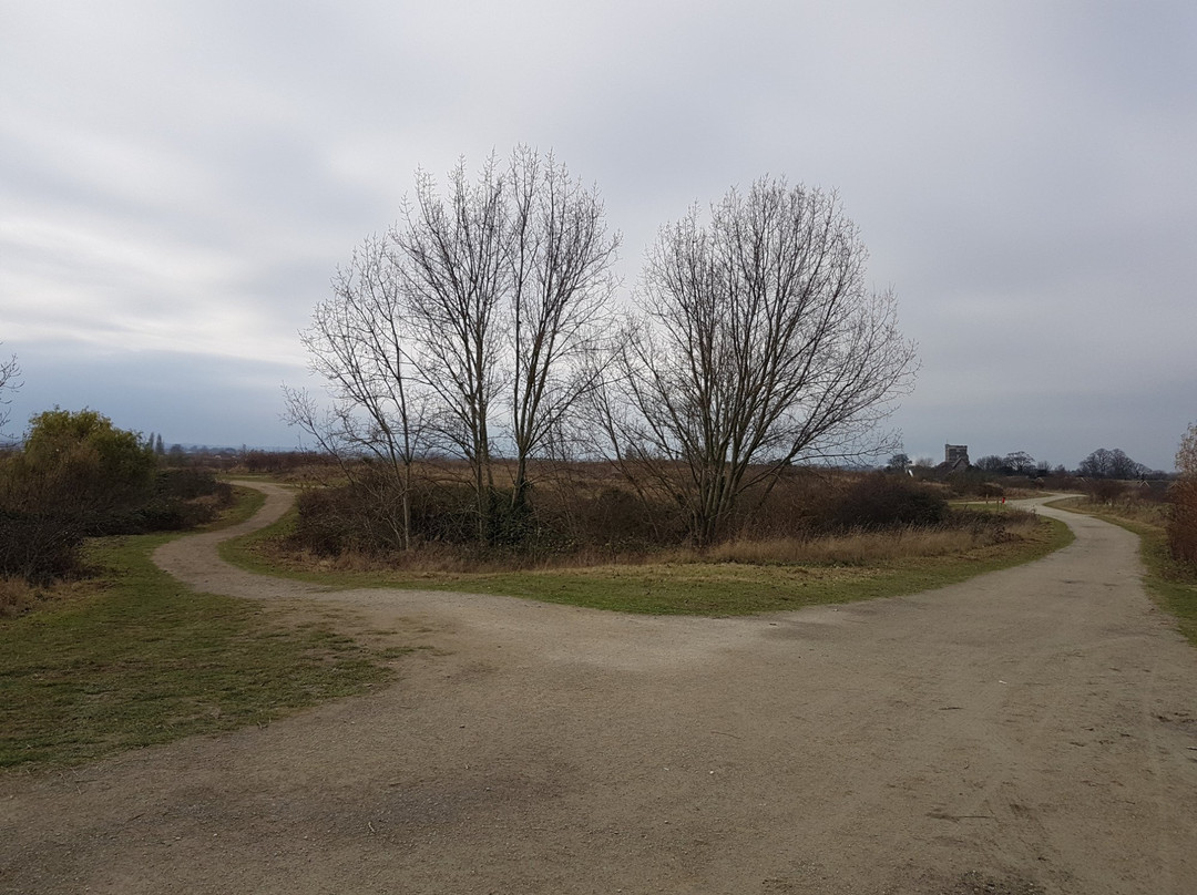 Milton Creek Country Park景点图片