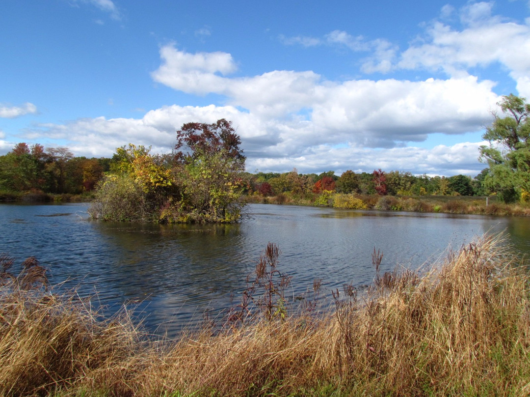 Hudson Highlands Nature Museum景点图片