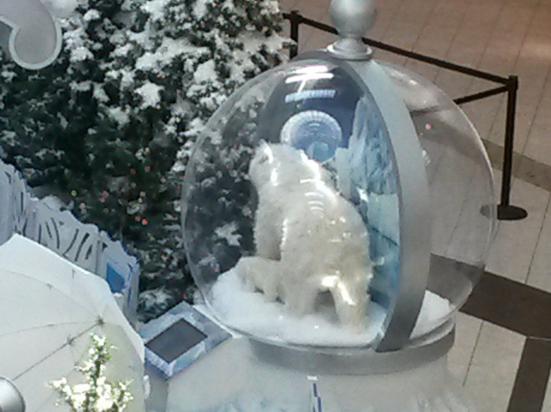 SouthPark Mall-Strongsville必去景点