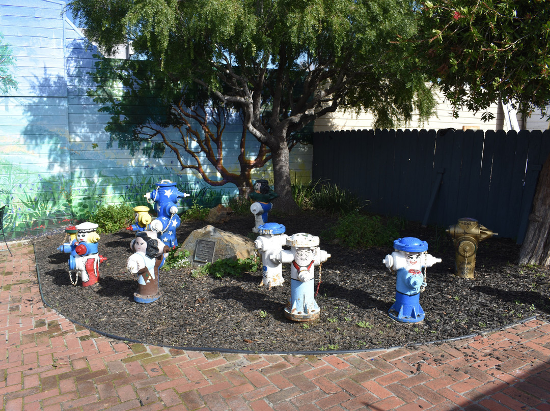 Fire Hydrant Plug Preserve-布里斯班必去景点