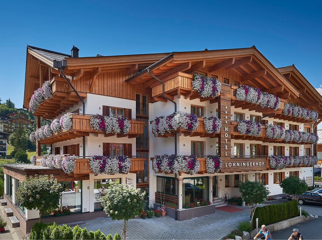 Hotel Lohningerhof主图