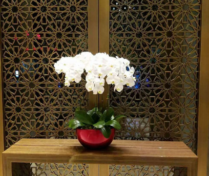 银川西府井饭店主图