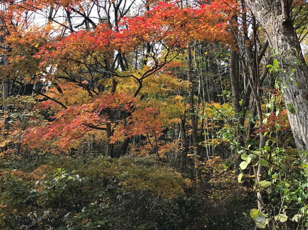 Kurohime Dowakan-信浓町 必去景点