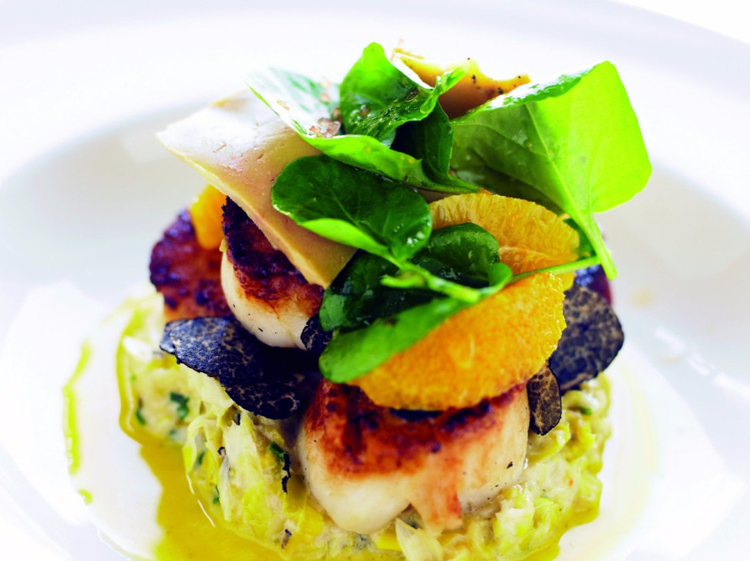 Truffle Museum-Metauten必去景点