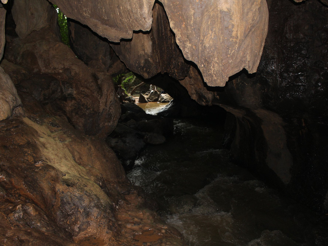 Cueva del Palmarito景点图片