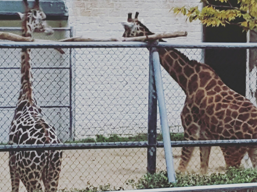 Gwangju Family Land-光州必去景点