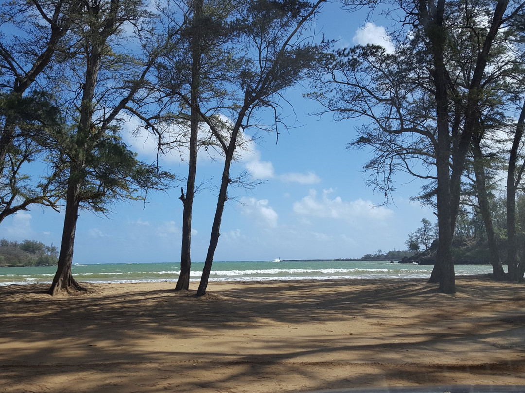 Hanamaulu Beach-可爱岛必去景点