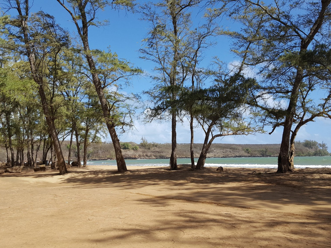 Hanamaulu Beach-可爱岛必去景点