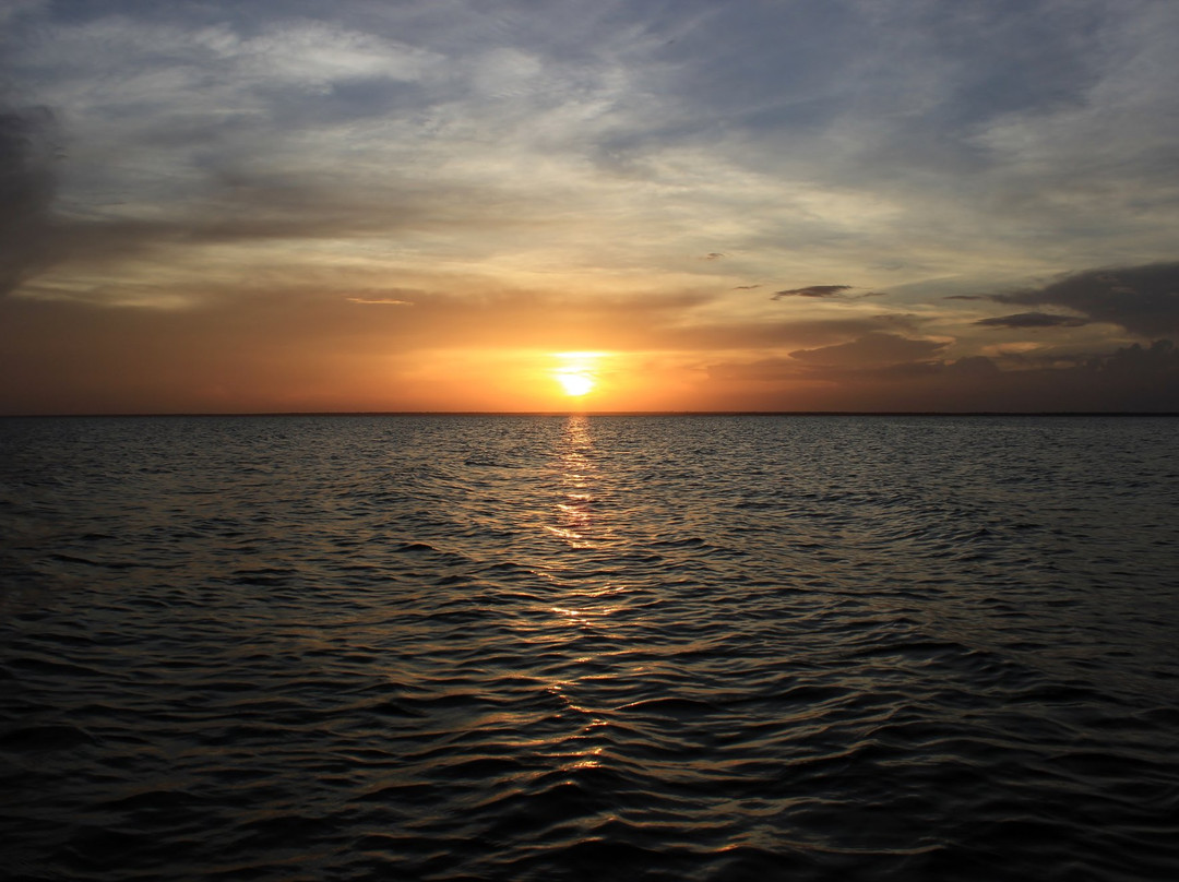 Cururu's Point-Alter do Chao必去景点