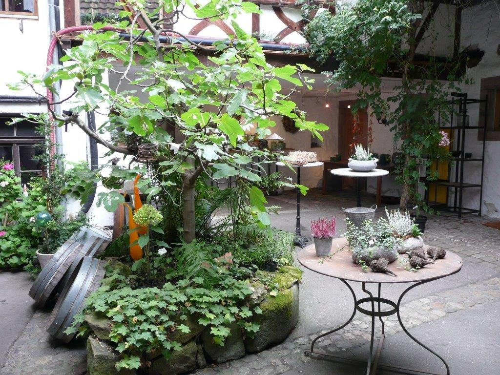 Rosenhof Rosen & Wein景点图片