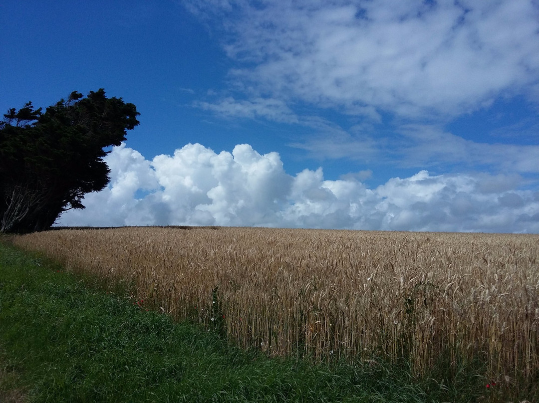 Verneuil-l'Etang酒店住宿-Chateau de Courtry