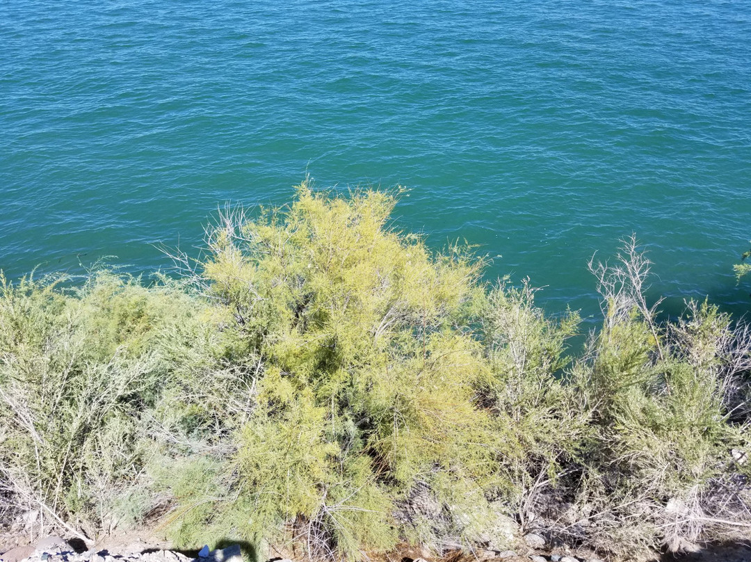 Pirate Cove Resort-尼德尔斯必去景点