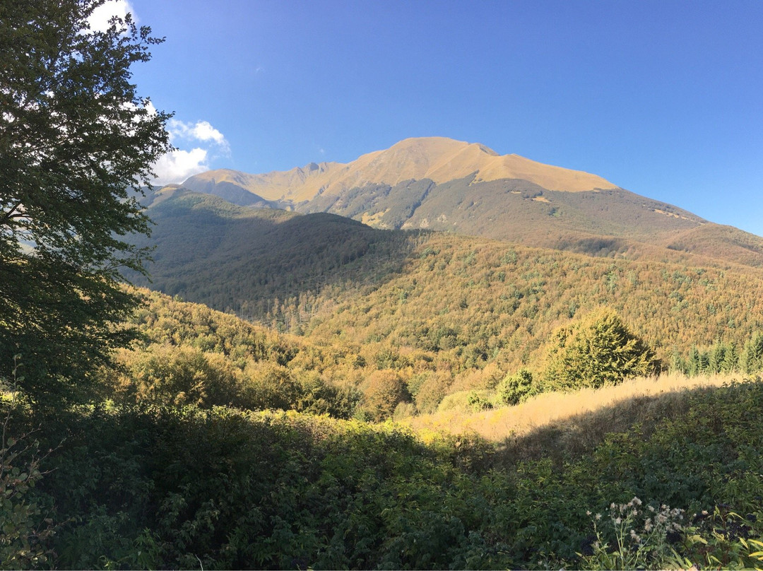 Parco Nazionale dell'Appennino Tosco-Emiliano景点图片