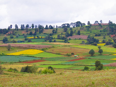 Yu Mon & Phyo's Trekking