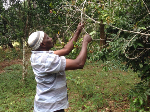 Spice Tour - Mitu's Spice Tour-马林地必去景点