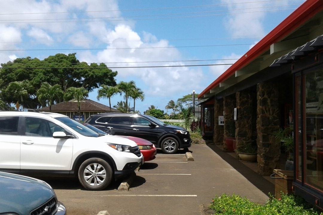 Lotus Gallery-基拉韦厄必去景点