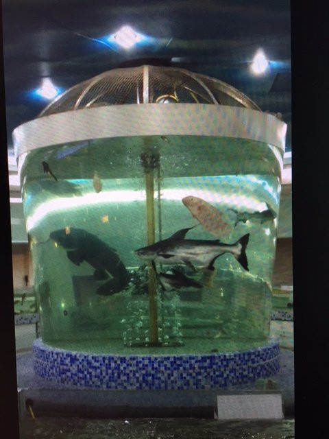 夏威夷国际商务酒店主图