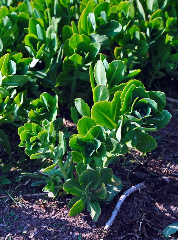 扎赉诺尔国家矿山公园-满洲里市必去景点