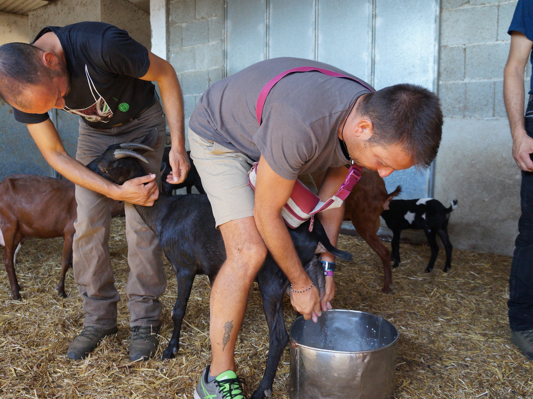 Escursioni e Trekking Dolceluna-San Priamo必去景点