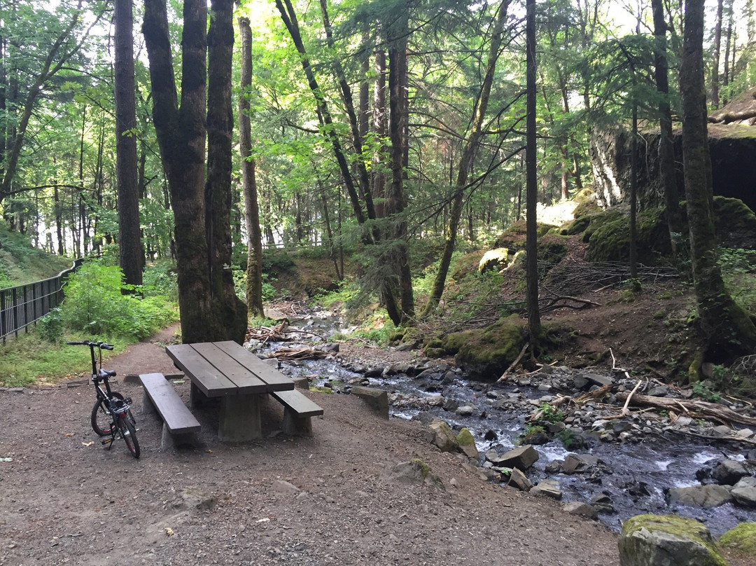 Starvation Creek Ridge Loop-Cascade Locks必去景点