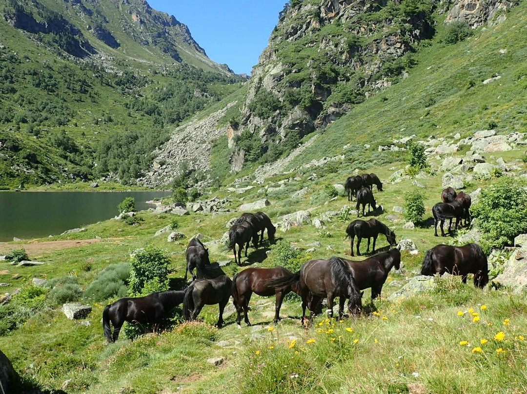 Merens-les-Vals旅游攻略图片