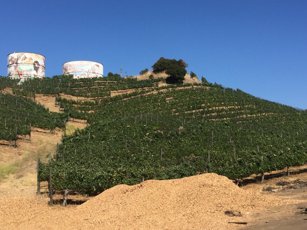 Malibu Family Wines景点图片