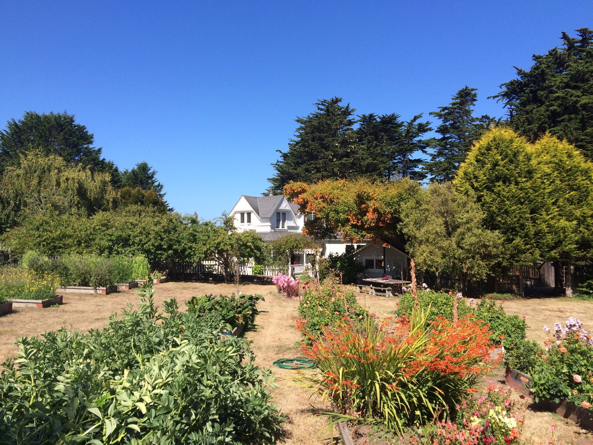 Victorian Gardens-官方