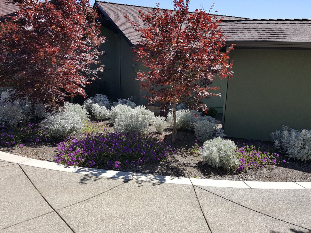 Dana Campbell Vineyards-阿什兰必去景点