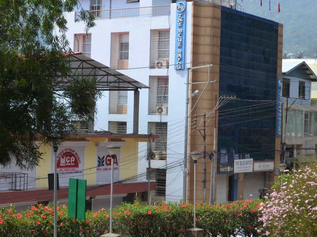 The Blue Bayou主图