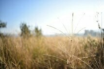 Zwali-兰西利亚必去景点