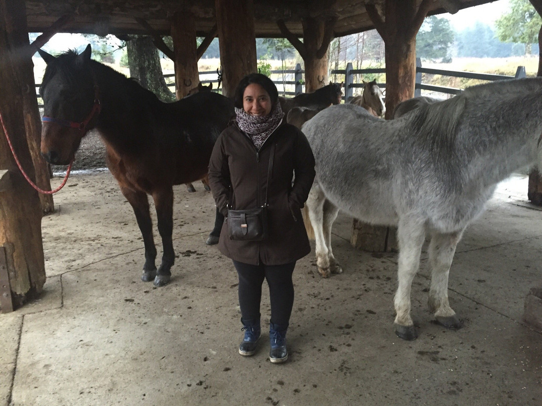 Cabalgatas-耐尔杜美必去景点