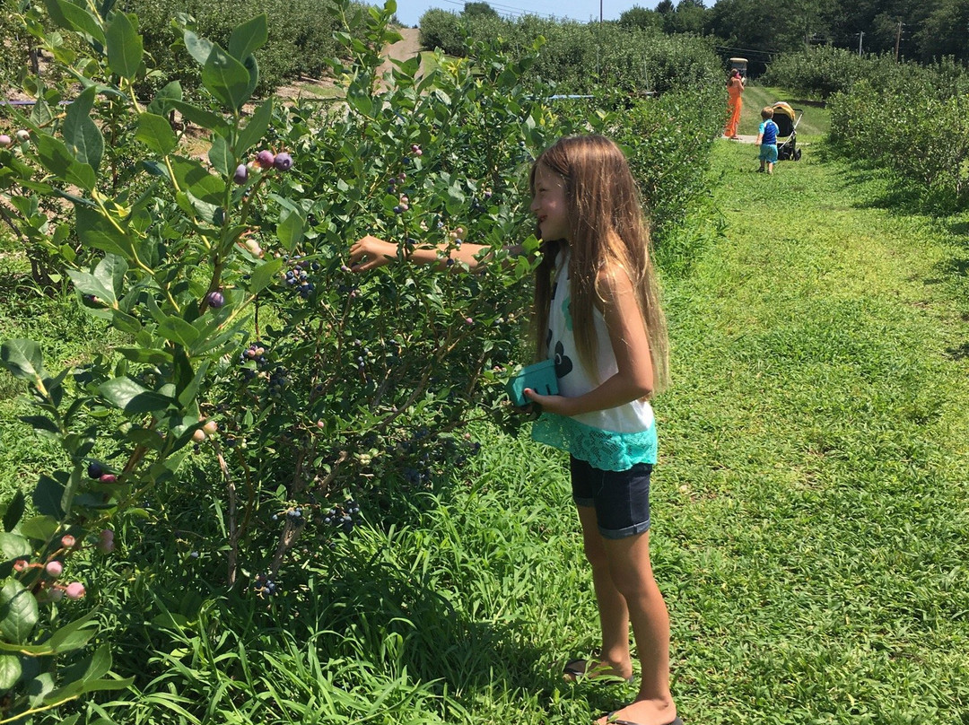 Silverman's Farm-Easton必去景点