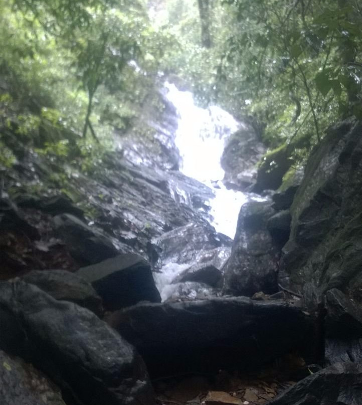 Cotigo Wildlife Sanctuary景点图片