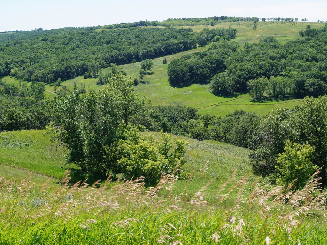 Fort Ransom State Park景点图片