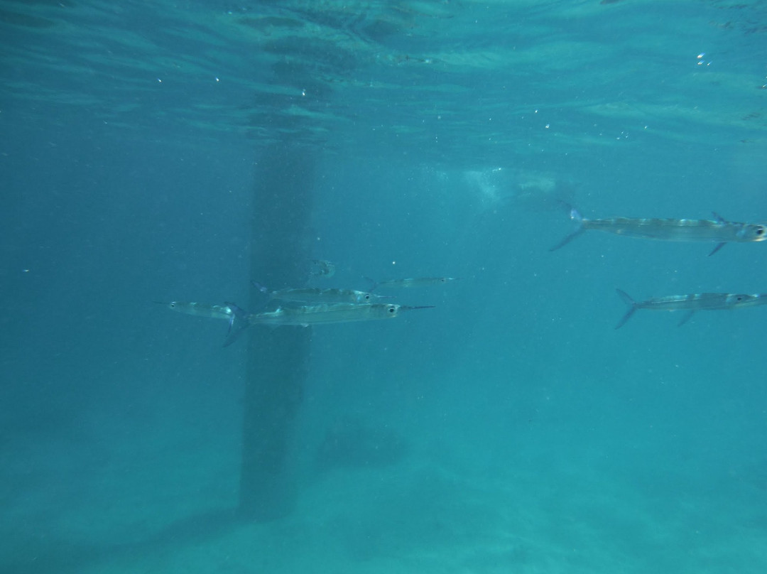 Piti Bomb Holes Preserve-Piti必去景点