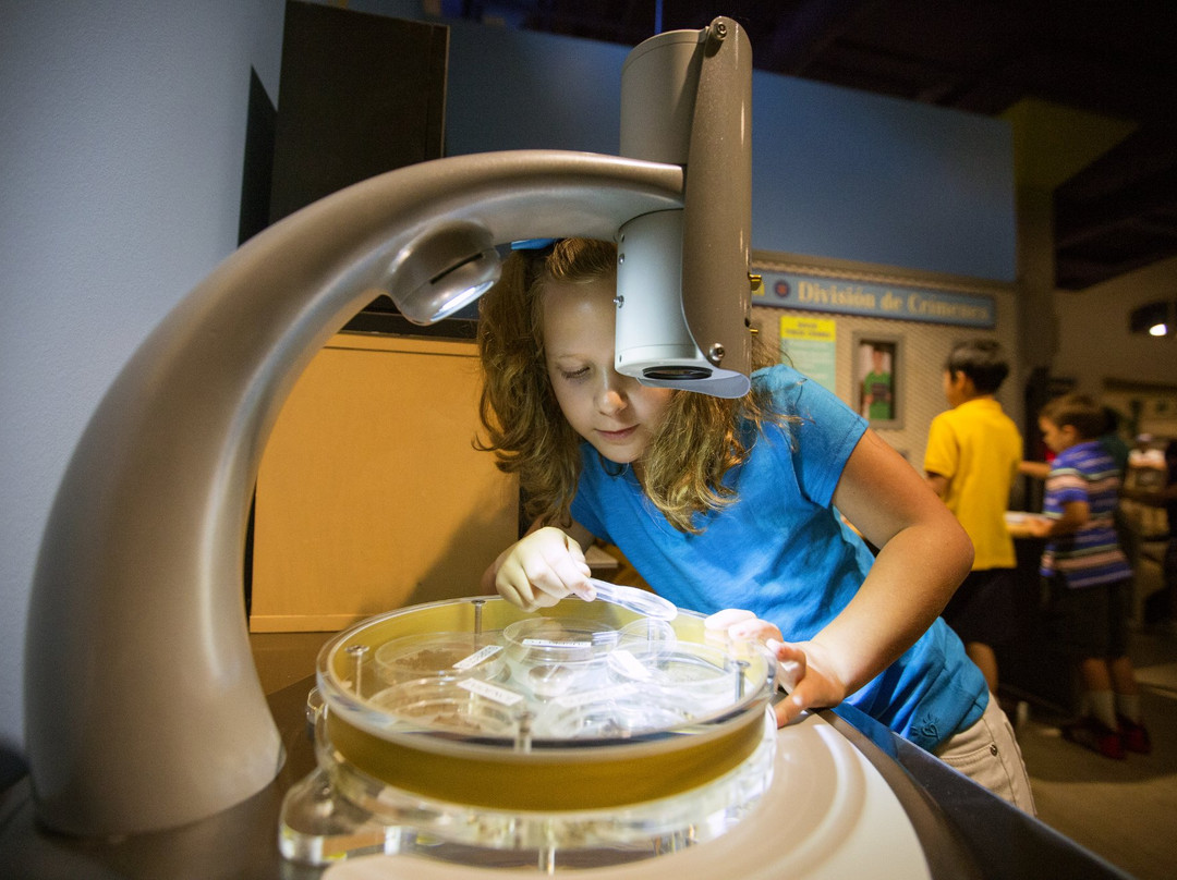 Fort Bend Children's Discovery Center-舒格兰必去景点