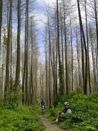 Onga'an Hill-谏义里必去景点