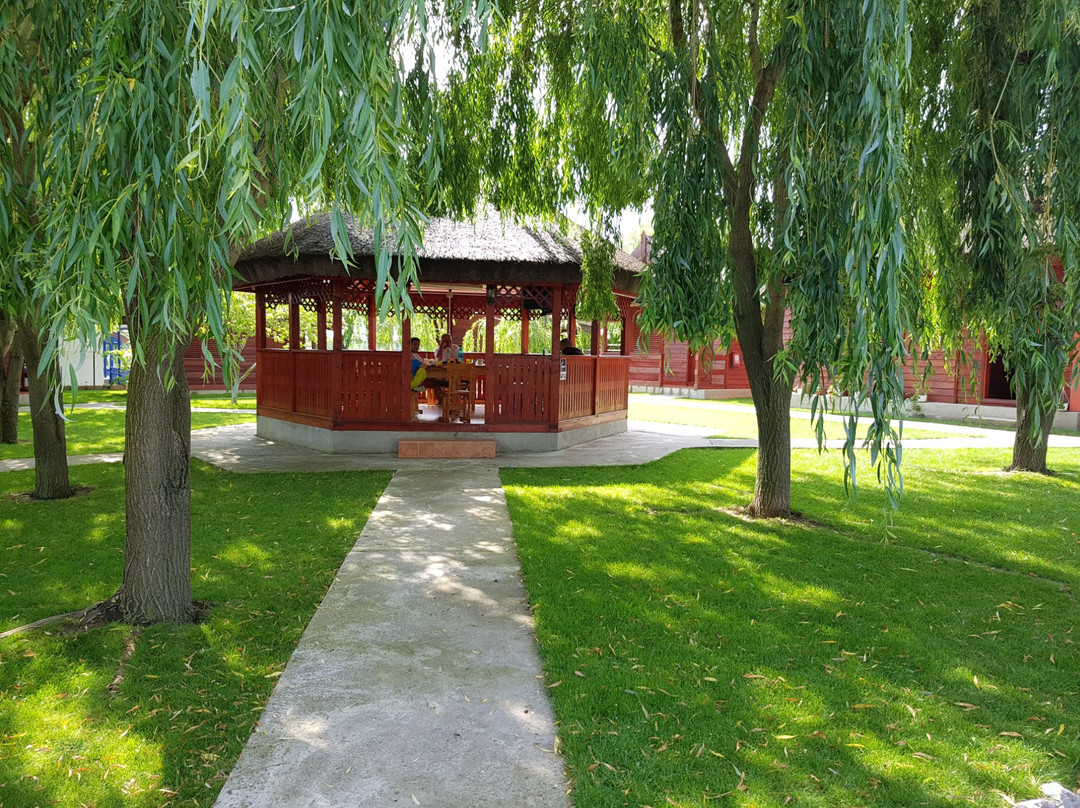 La Tavi Casute TIP Camping