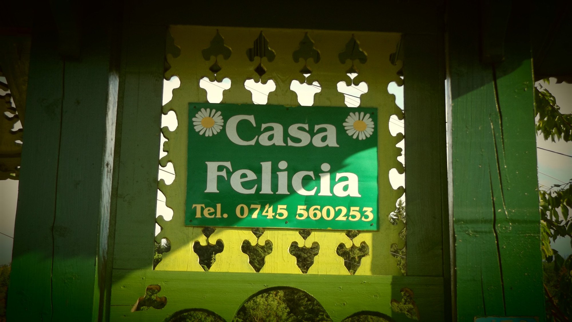 Felicia Guesthouse-官方