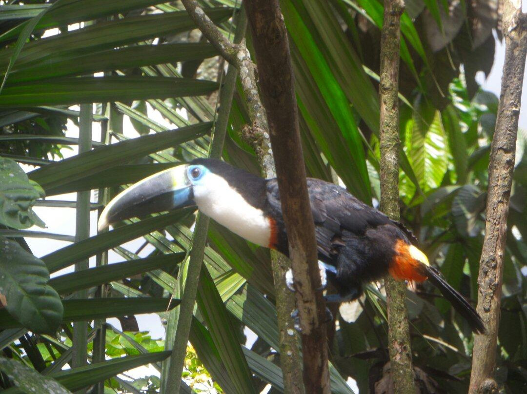 Portal a la Selva-Puyo必去景点