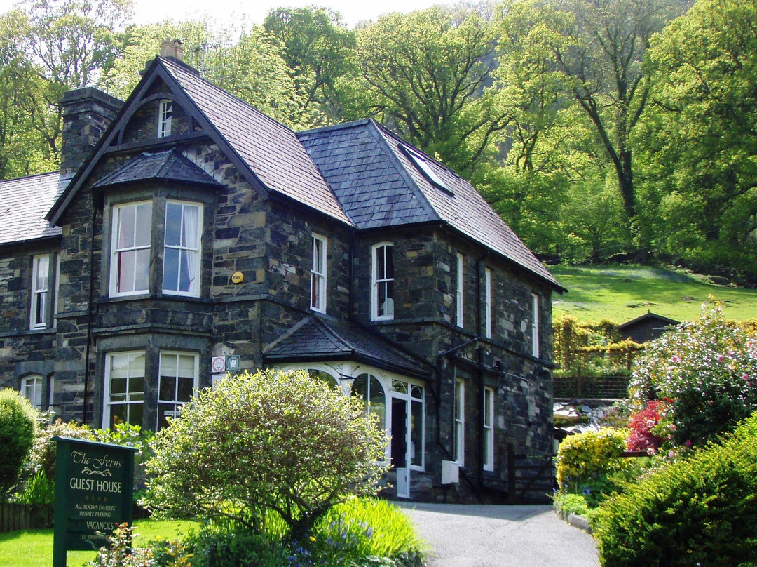 The Ferns Guesthouse